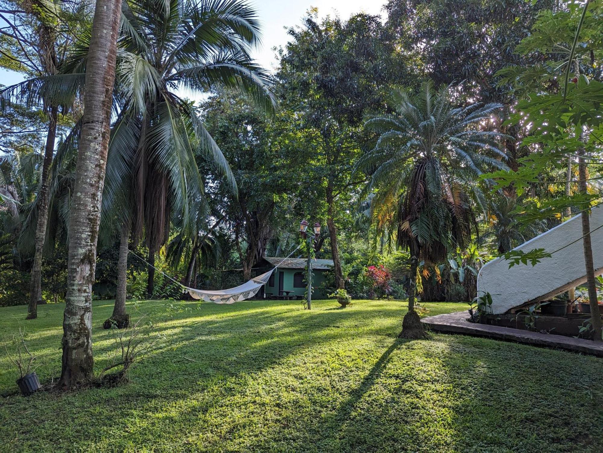 Spirit Of Jungle Lodge Sámara Eksteriør bilde