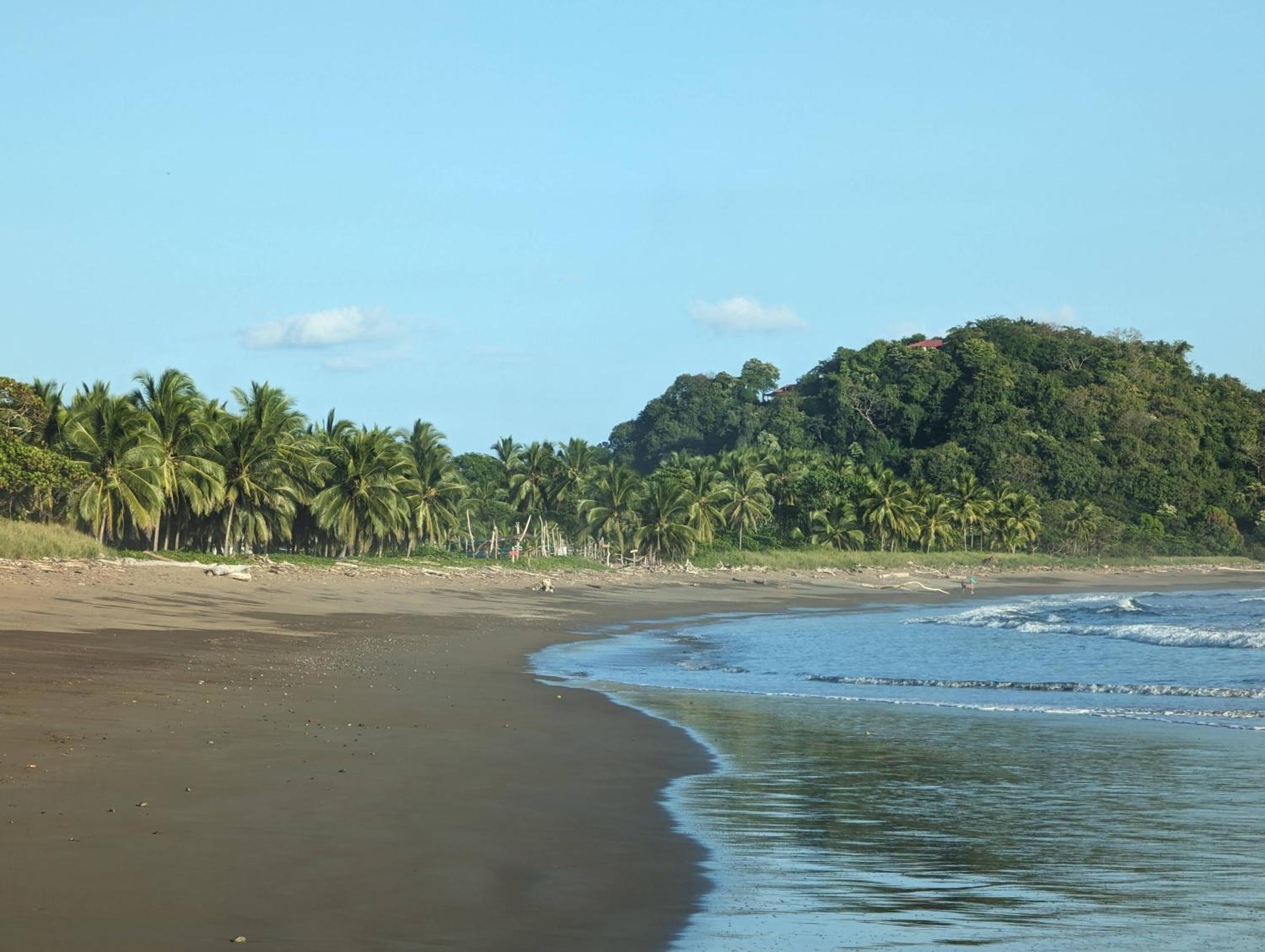 Spirit Of Jungle Lodge Sámara Eksteriør bilde