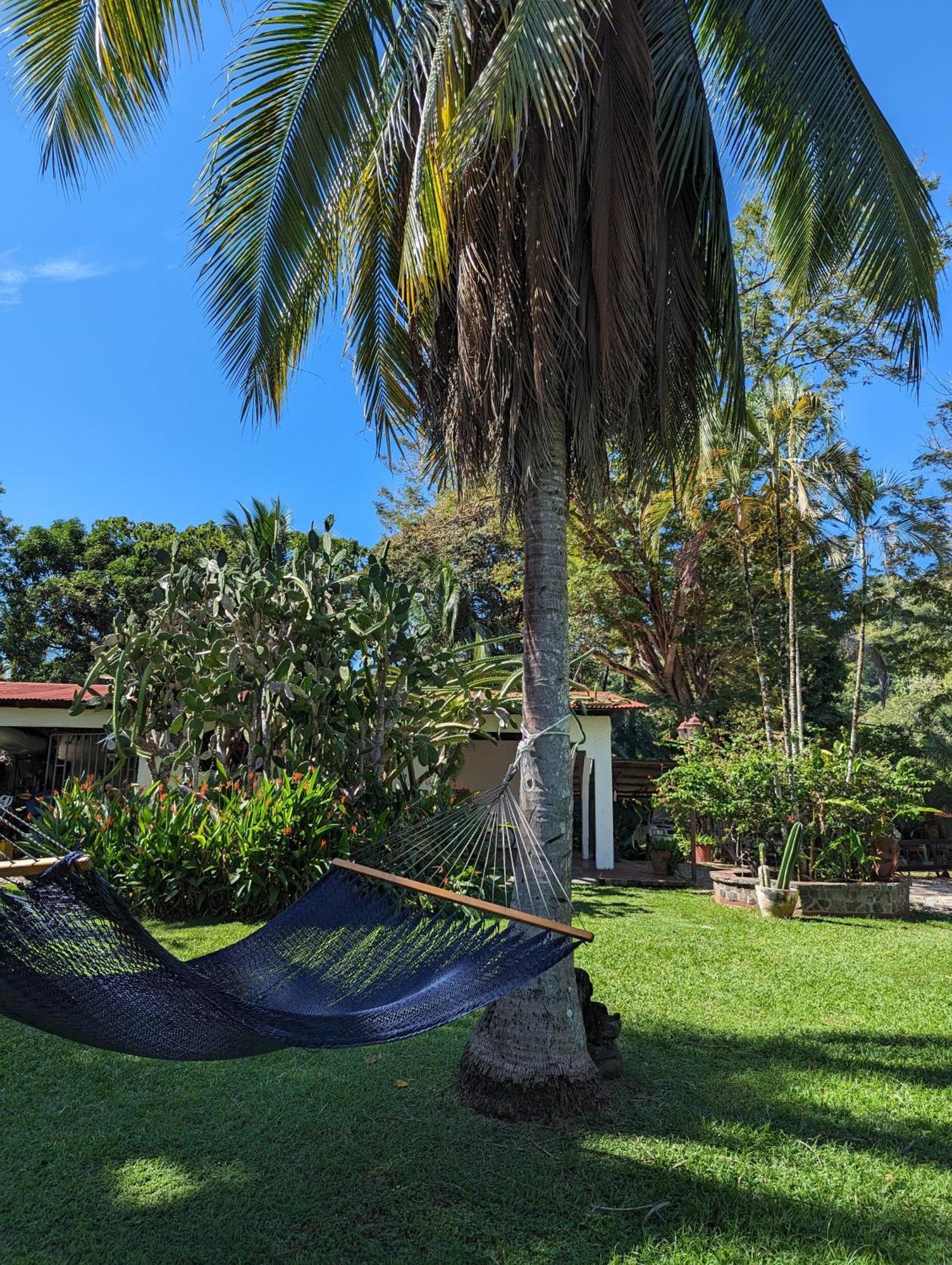 Spirit Of Jungle Lodge Sámara Eksteriør bilde