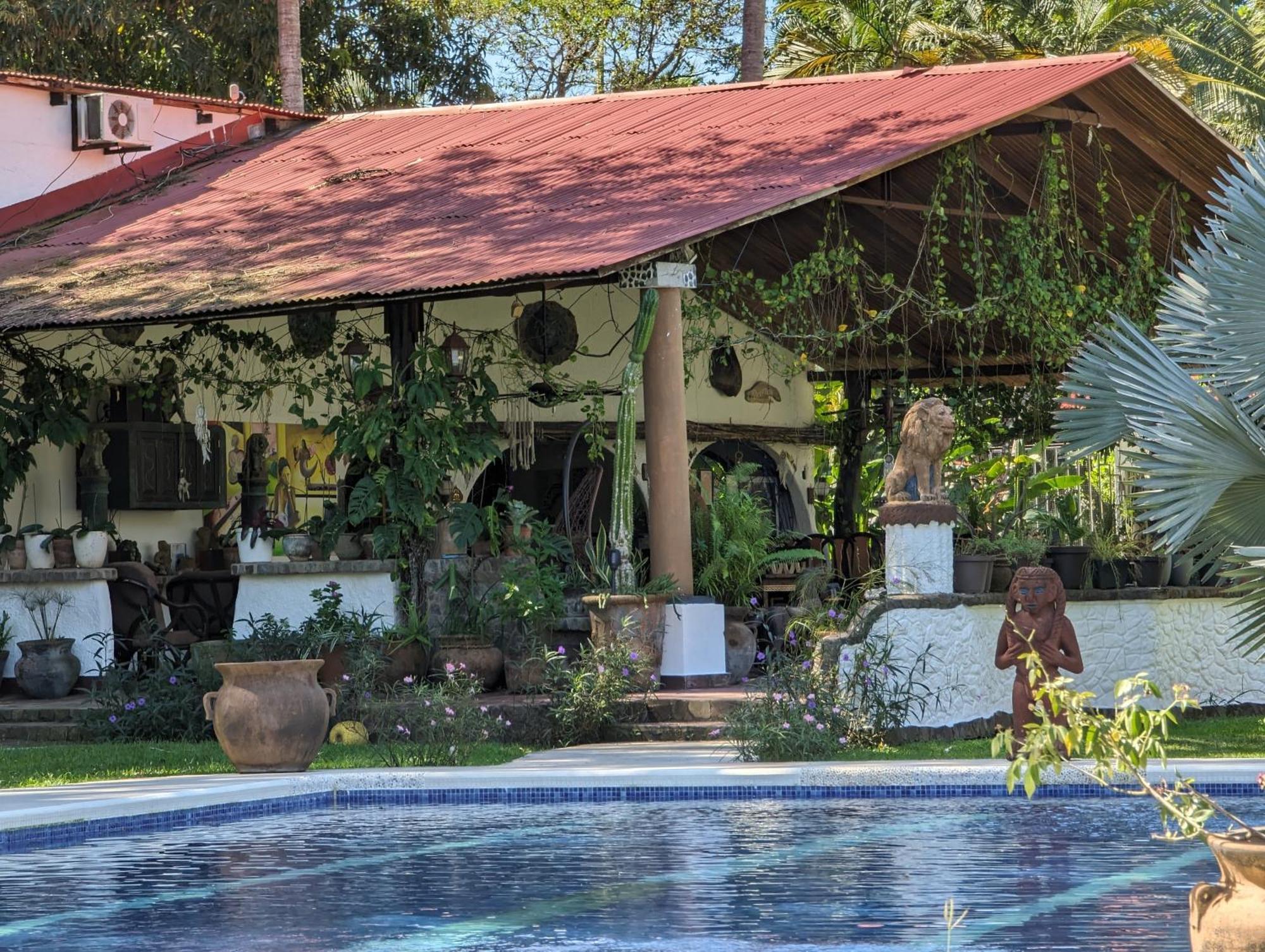 Spirit Of Jungle Lodge Sámara Eksteriør bilde